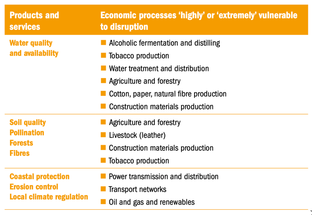 The disruption of products and services